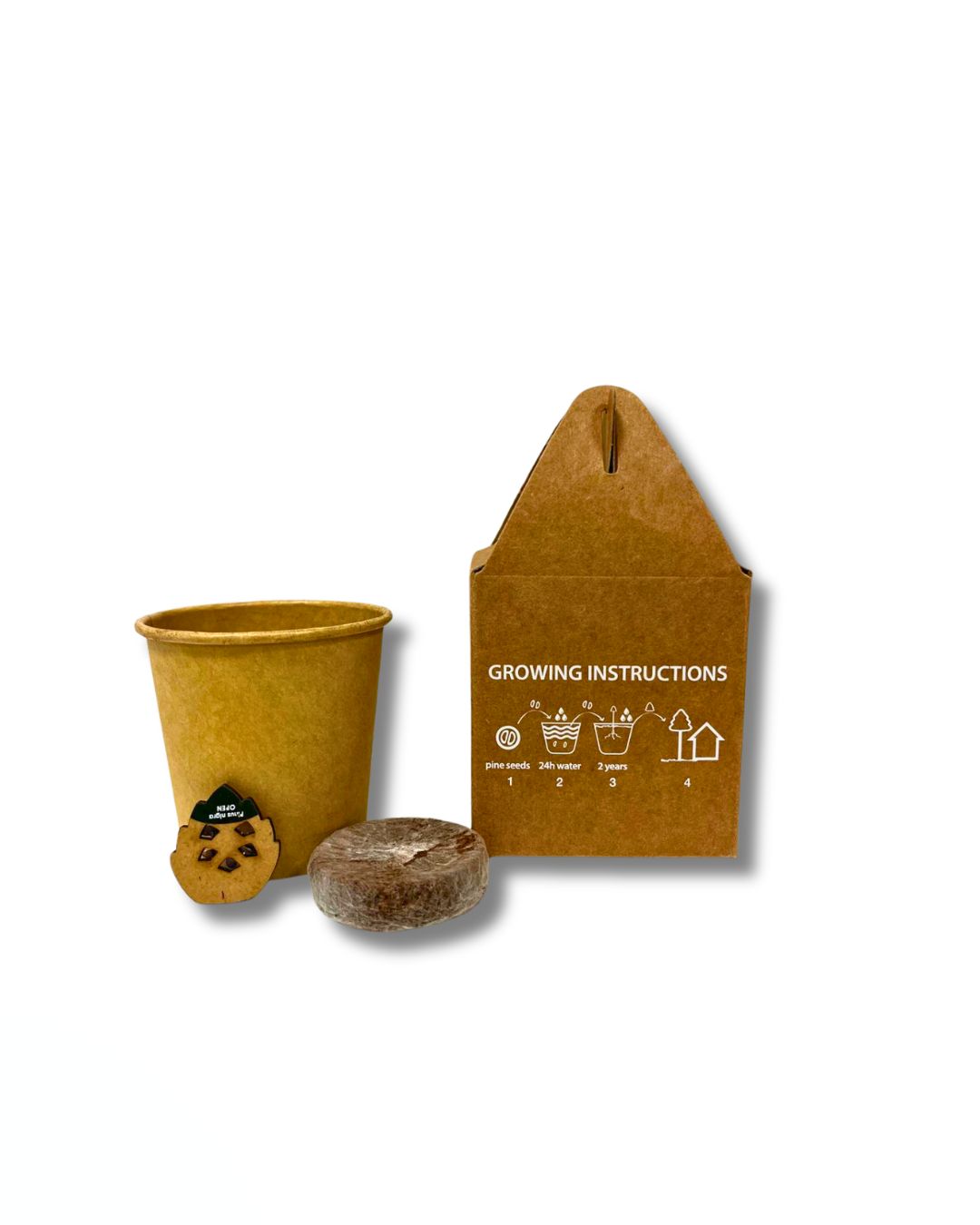 Set albero di pino