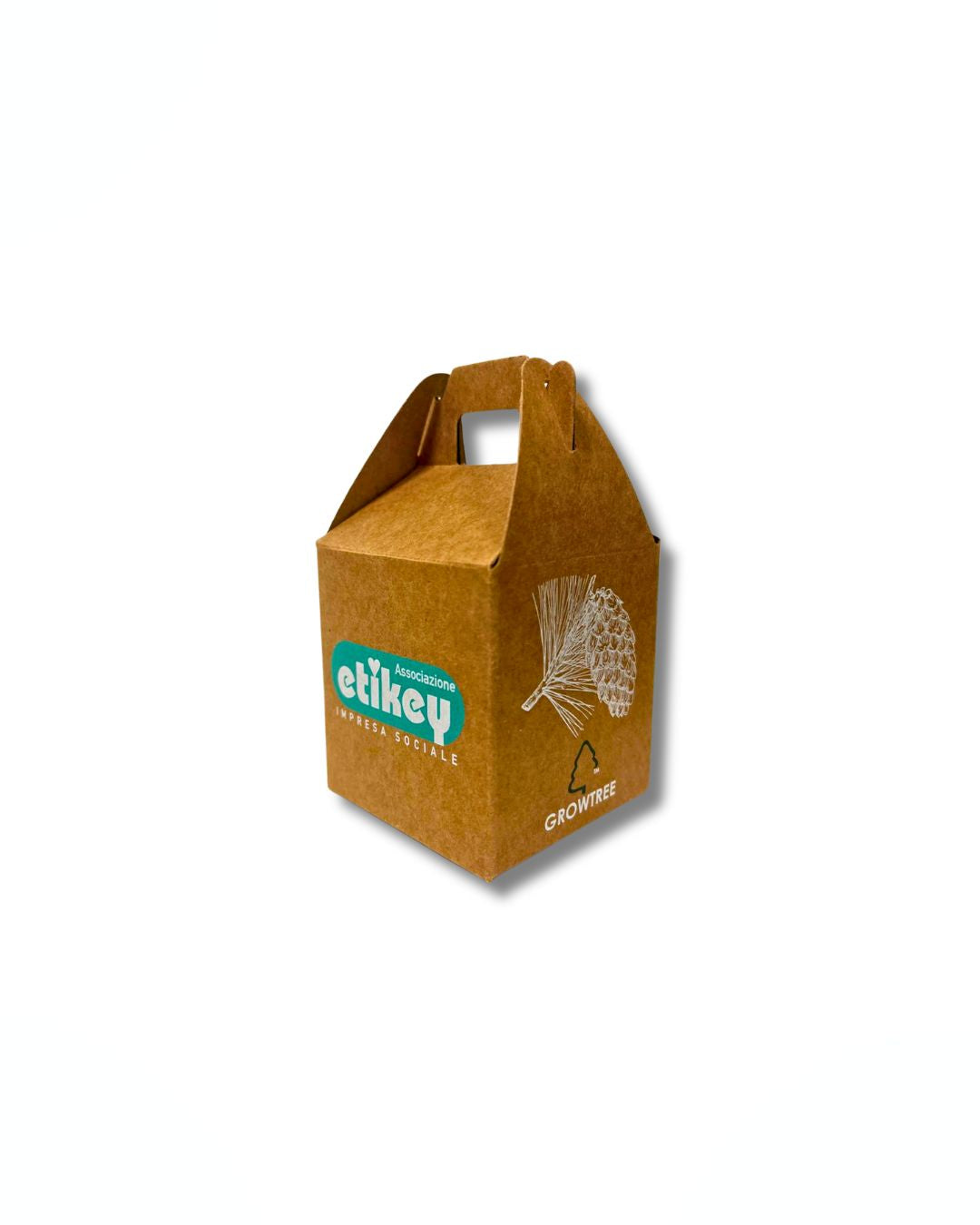 Set albero di pino